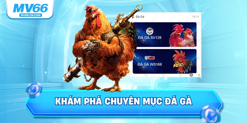 Khám phá chuyên mục đá gà