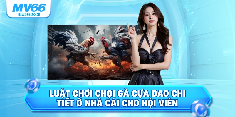 Luật chơi chọi gà cựa dao chi tiết ở nhà cái cho hội viên