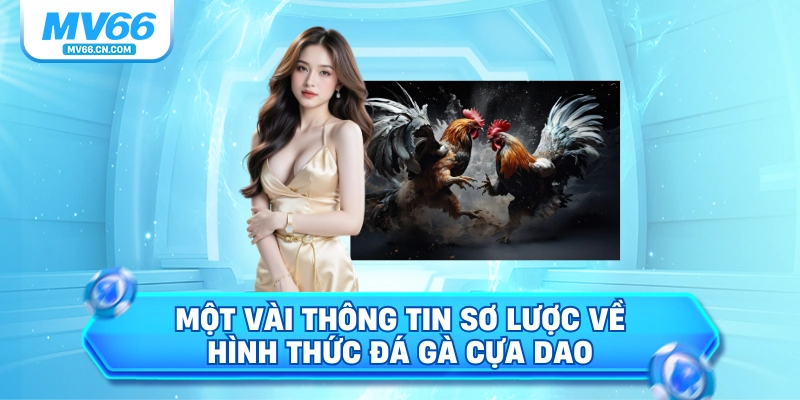 Một vài thông tin sơ lược về hình thức đá gà cựa dao